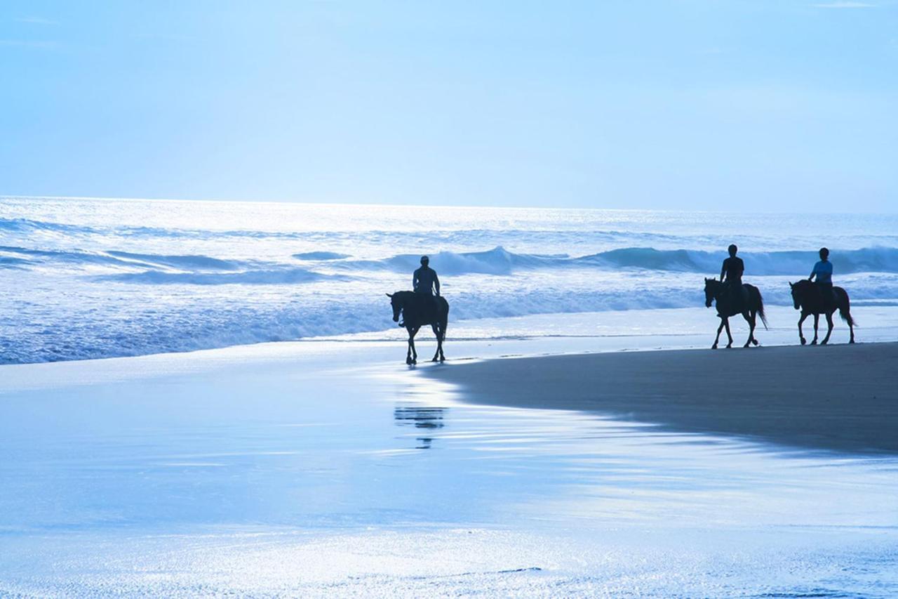 Miramar Beach Home Walk To Beach Trails Restaurants Family Activities 할프 문 베이 외부 사진
