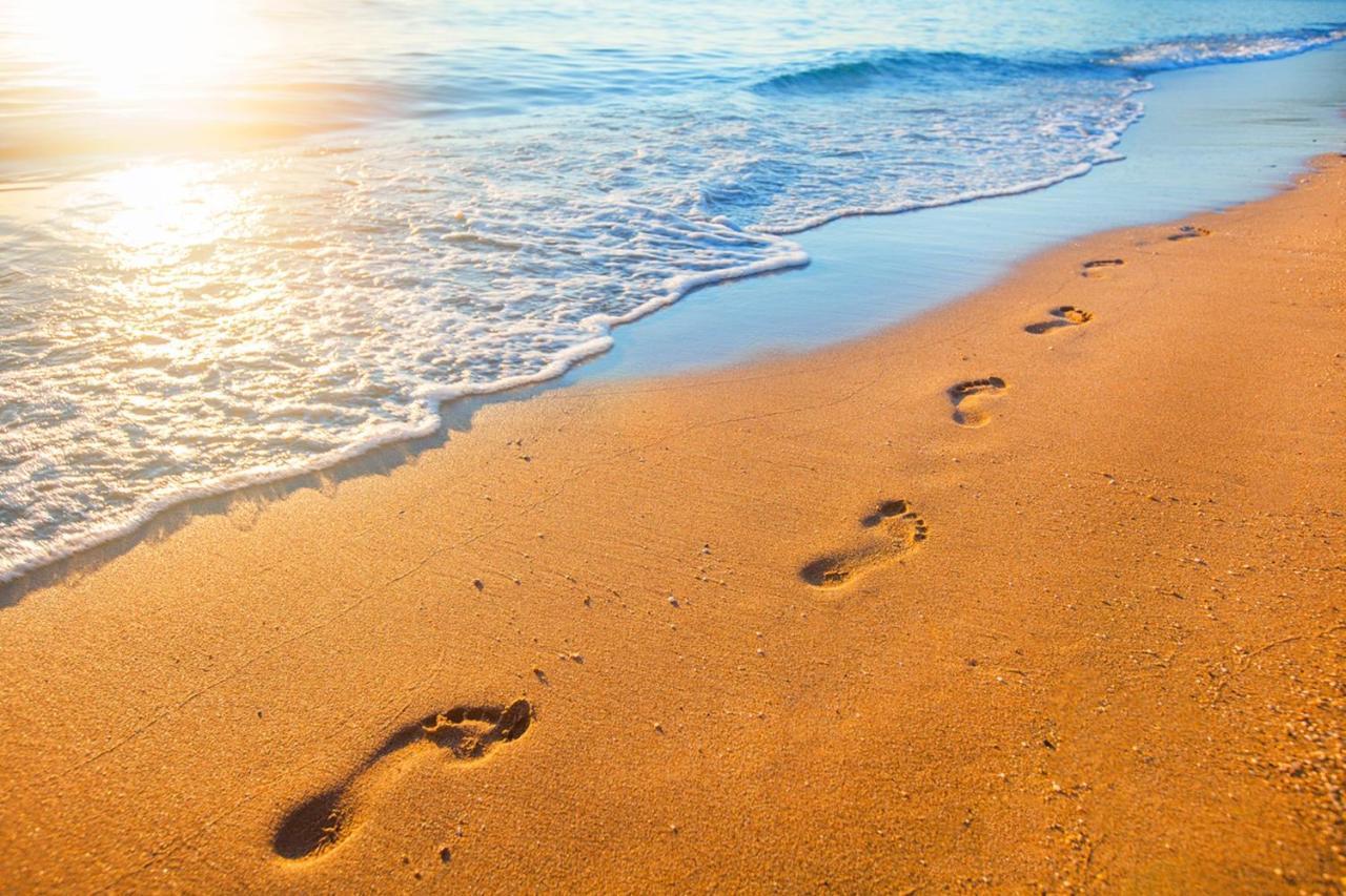 Miramar Beach Home Walk To Beach Trails Restaurants Family Activities 할프 문 베이 외부 사진